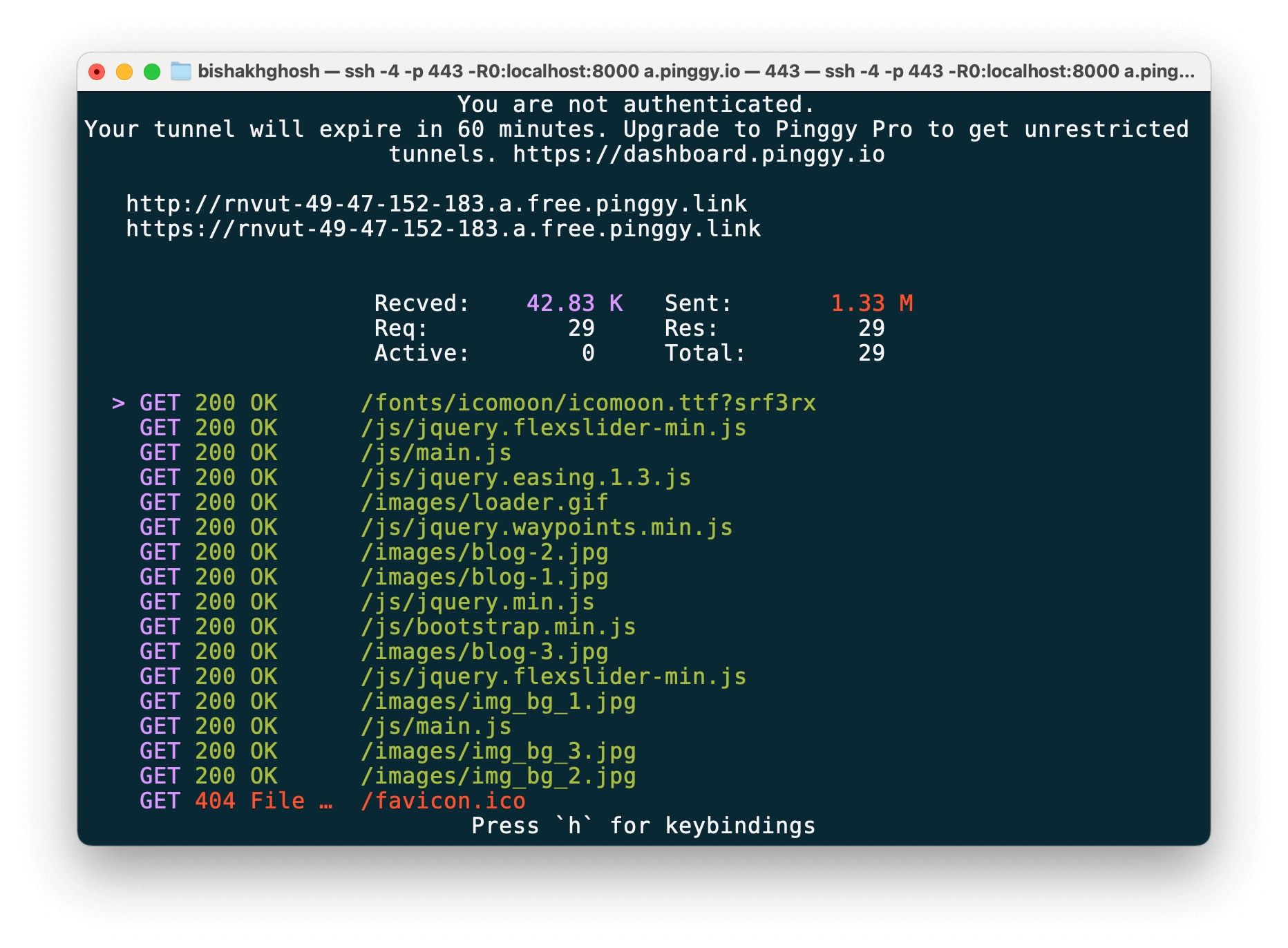 SSH Tunnel Screenshot