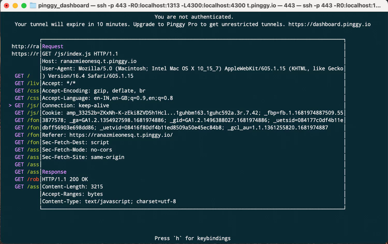 Pinggy terminal user interface (TUI) screenshot showing request and response headers of an HTTP request