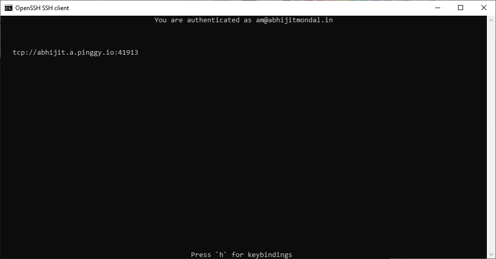 Tunnel created and gave me the address