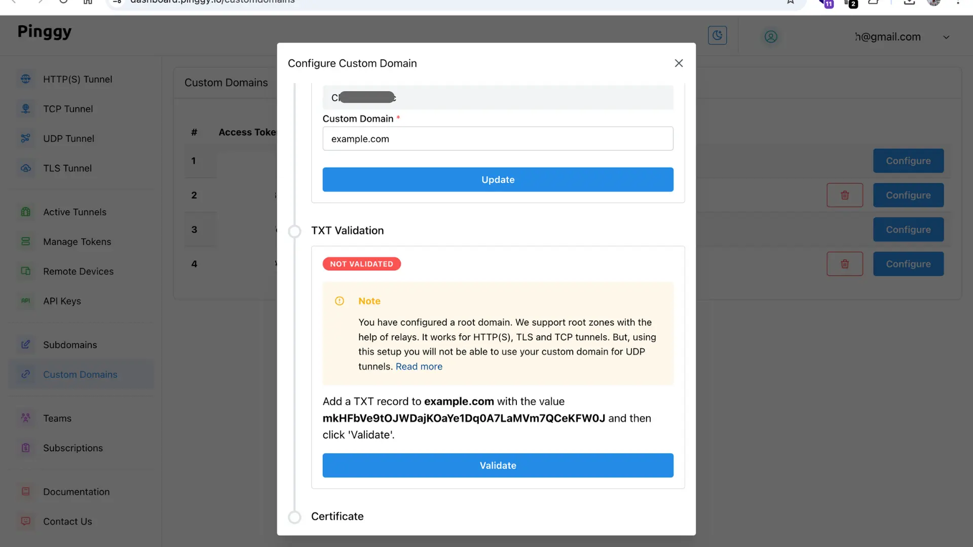 Configure custom domain and get TXT record instructions - Pinggy