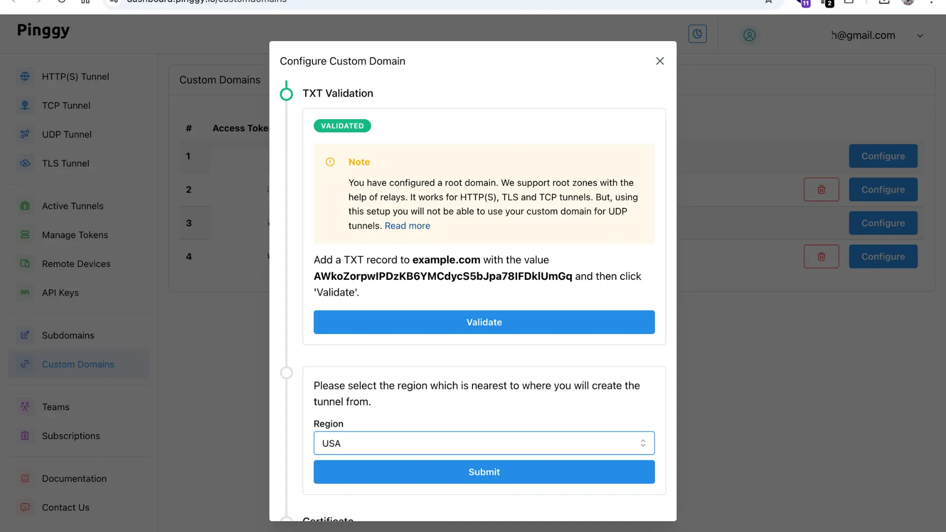 Update and validate TXT record for custom domain - Pinggy