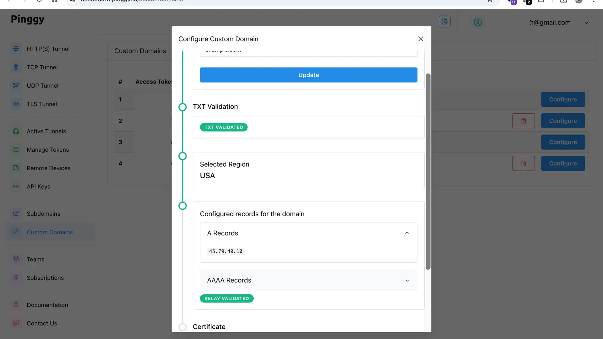 Update A and AAAA relay records for custom domain - Pinggy