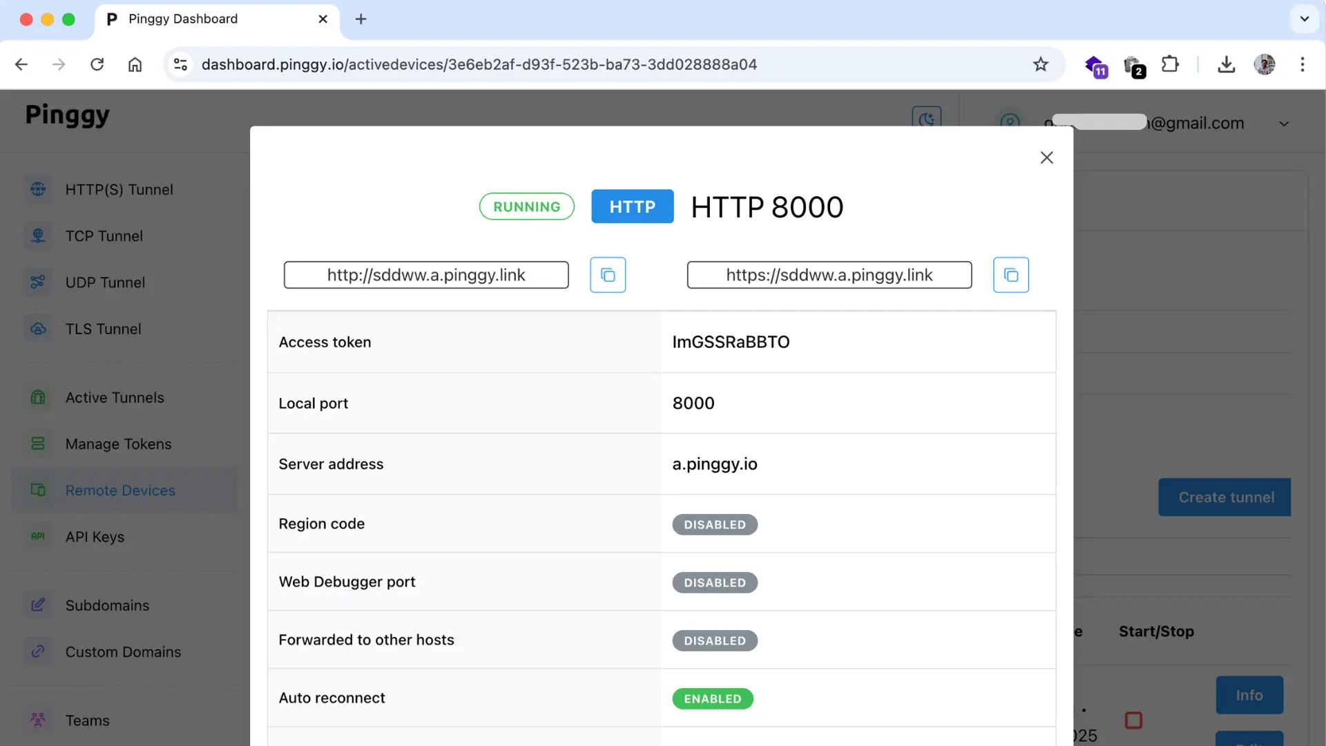 Detailed information of an active tunnel in a remote device in Pinggy