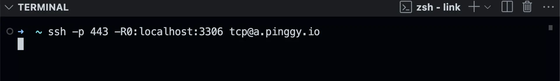 Pinggy Command