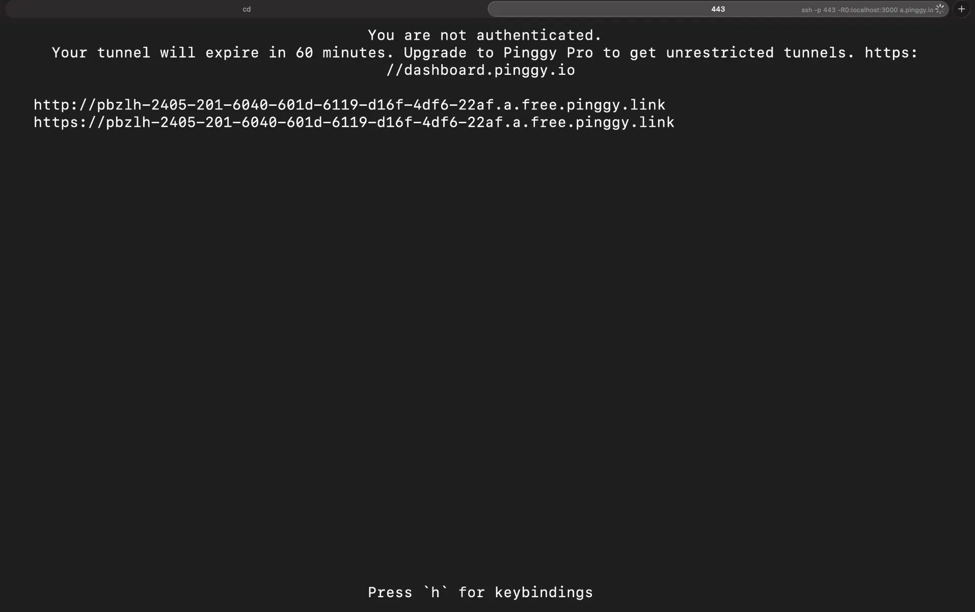 Pinggy tunnel URL