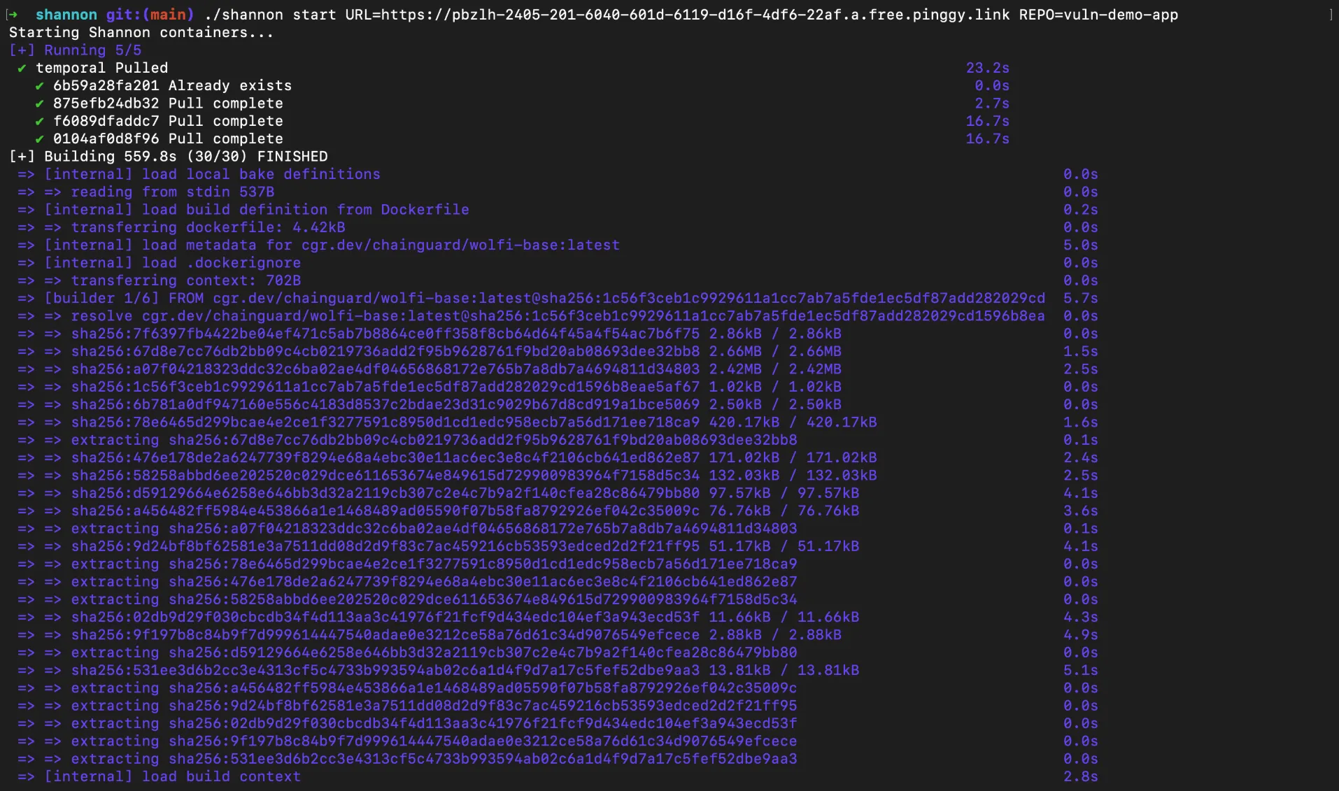 Shannon pentest starting up