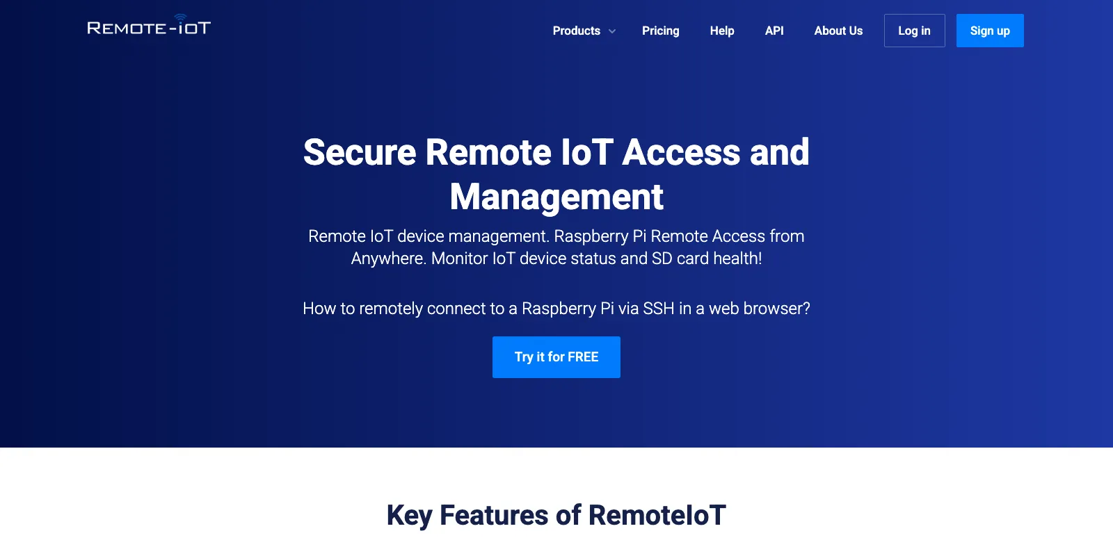 RemoteIoT secure remote IoT access and management platform