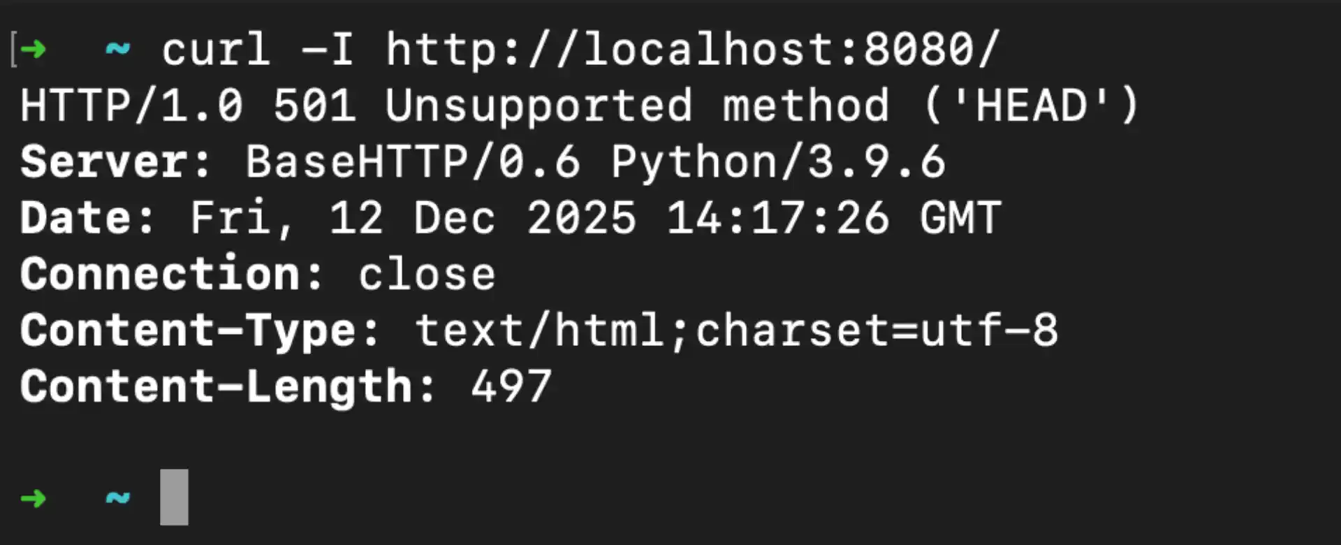 Python Server with Content-Length Output