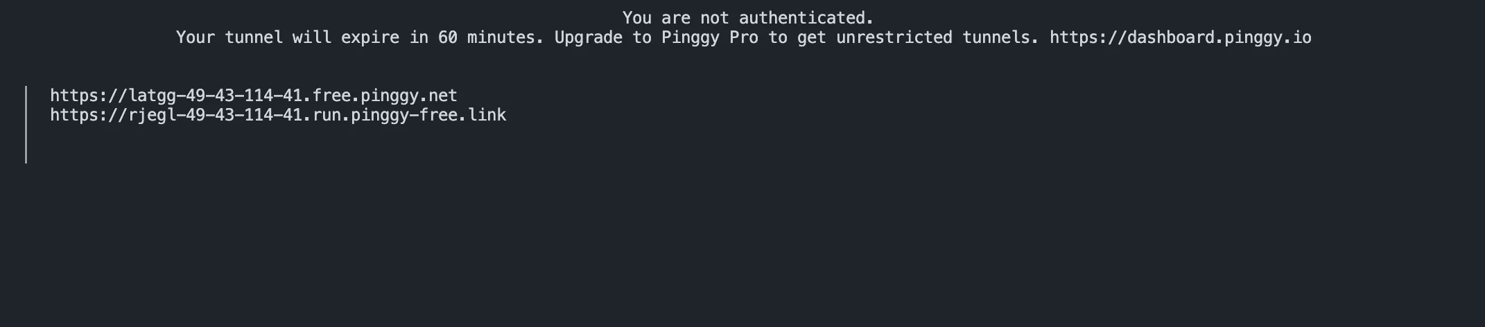Pinggy returning two public HTTPS URLs for the local Unsloth Studio port