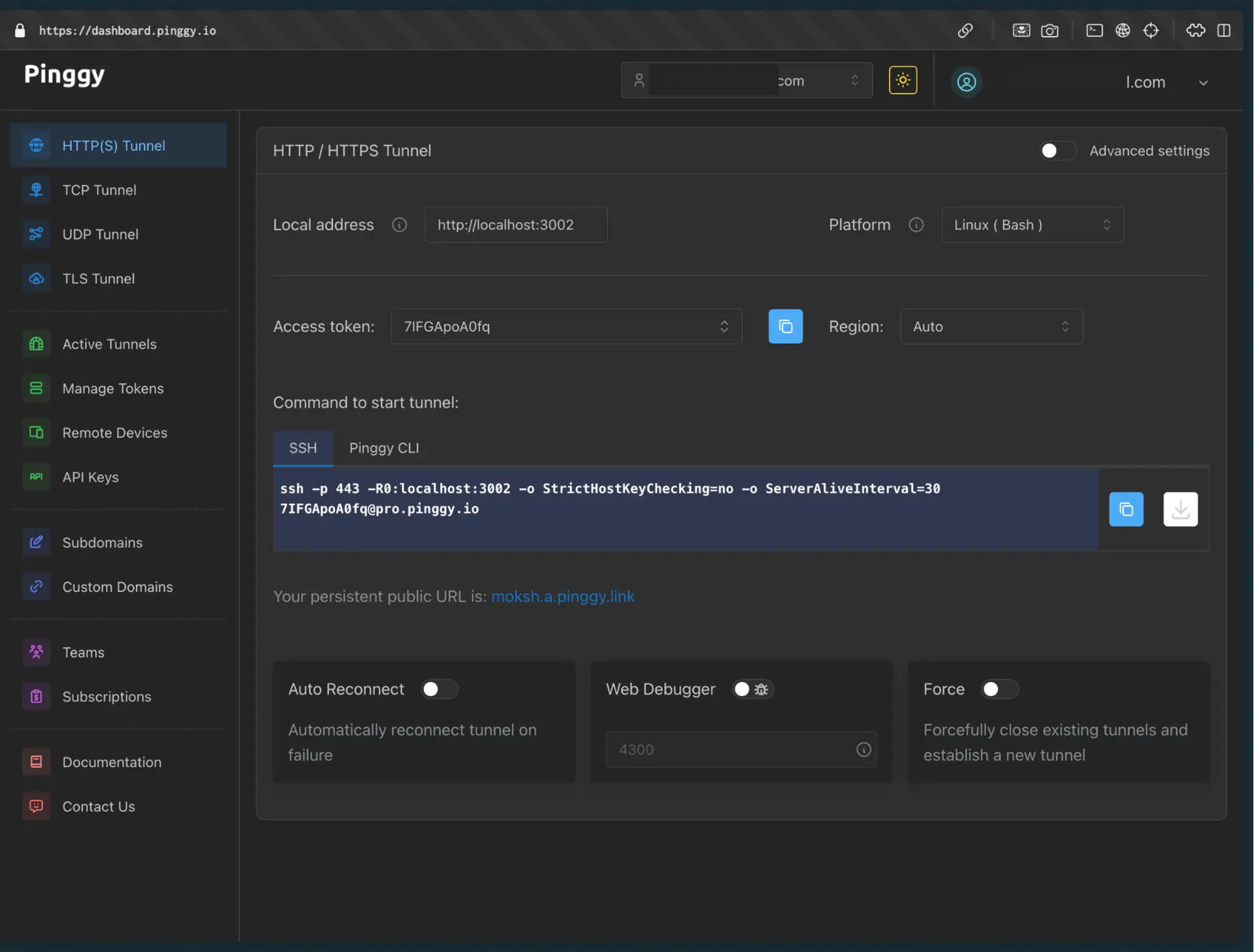 Pinggy Dashboard