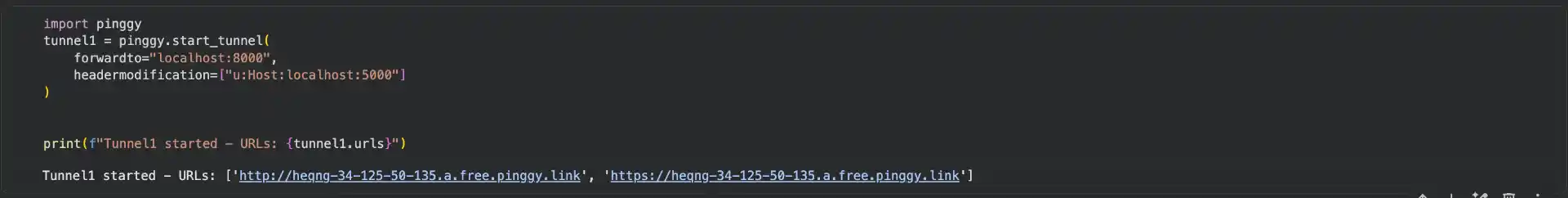 Running Pinggy Tunnel