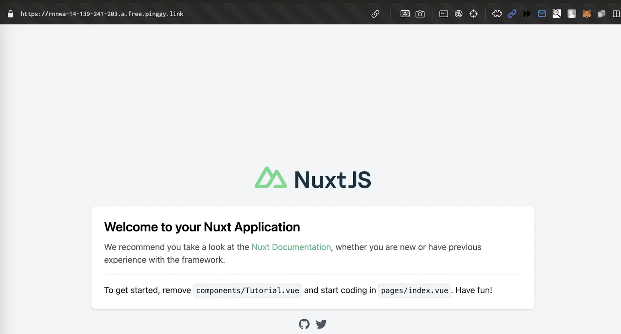 Nuxt App Running on Public URL