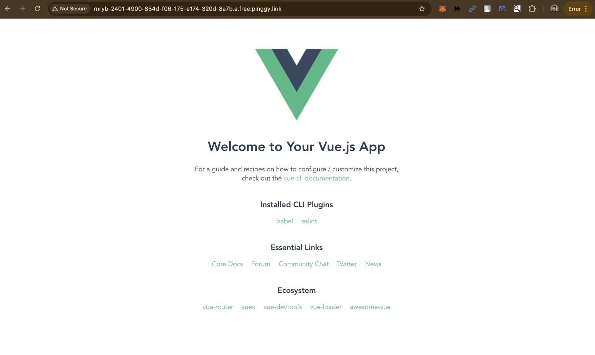 access vue app using public url