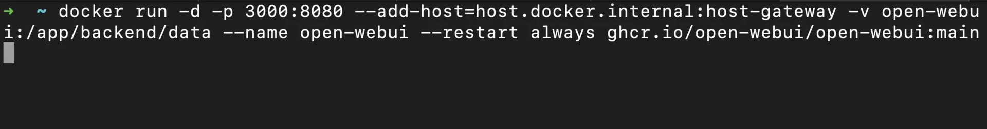 install open webui docker image