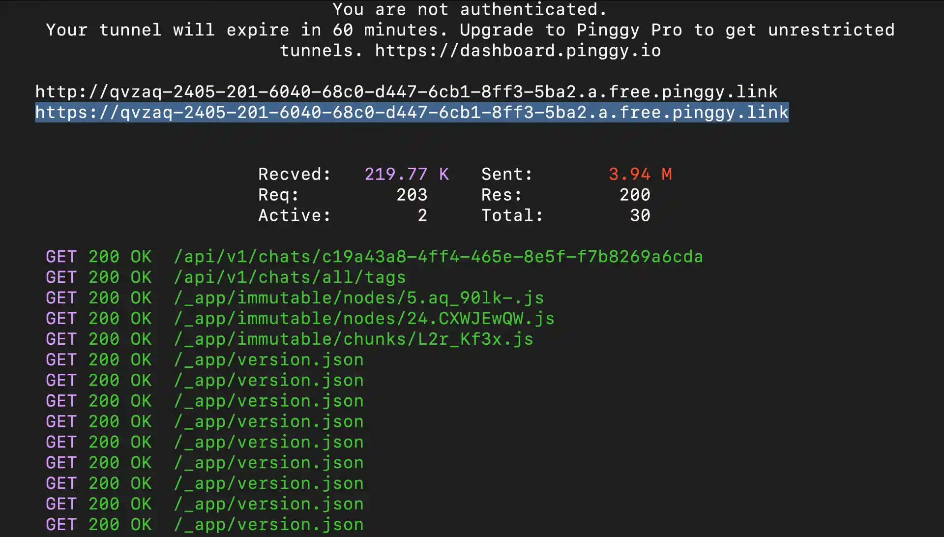 Pinggy logs