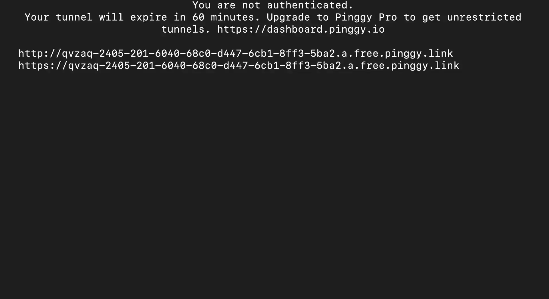 Pinggy public url