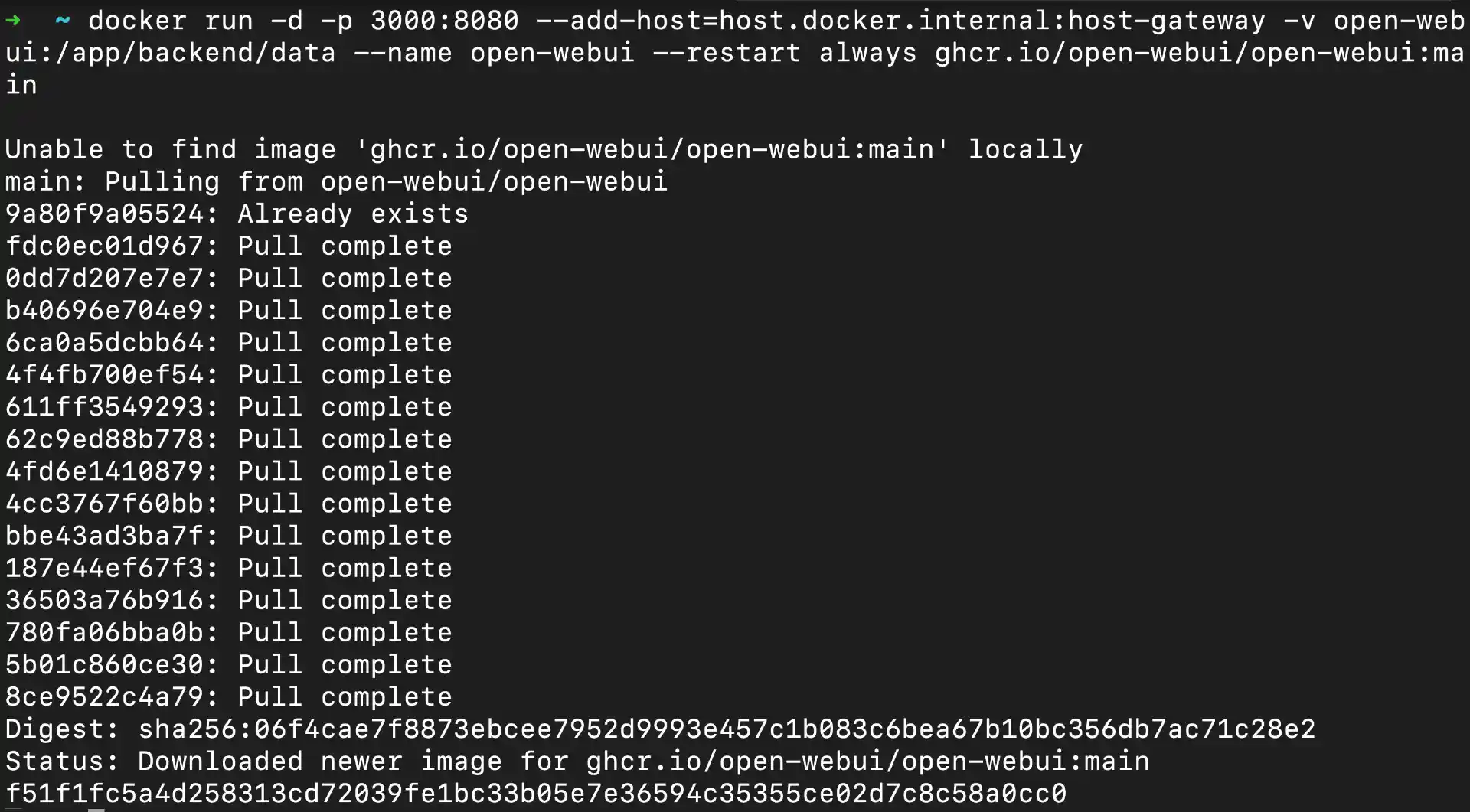 Pulling open webui