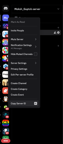 Copy server ID