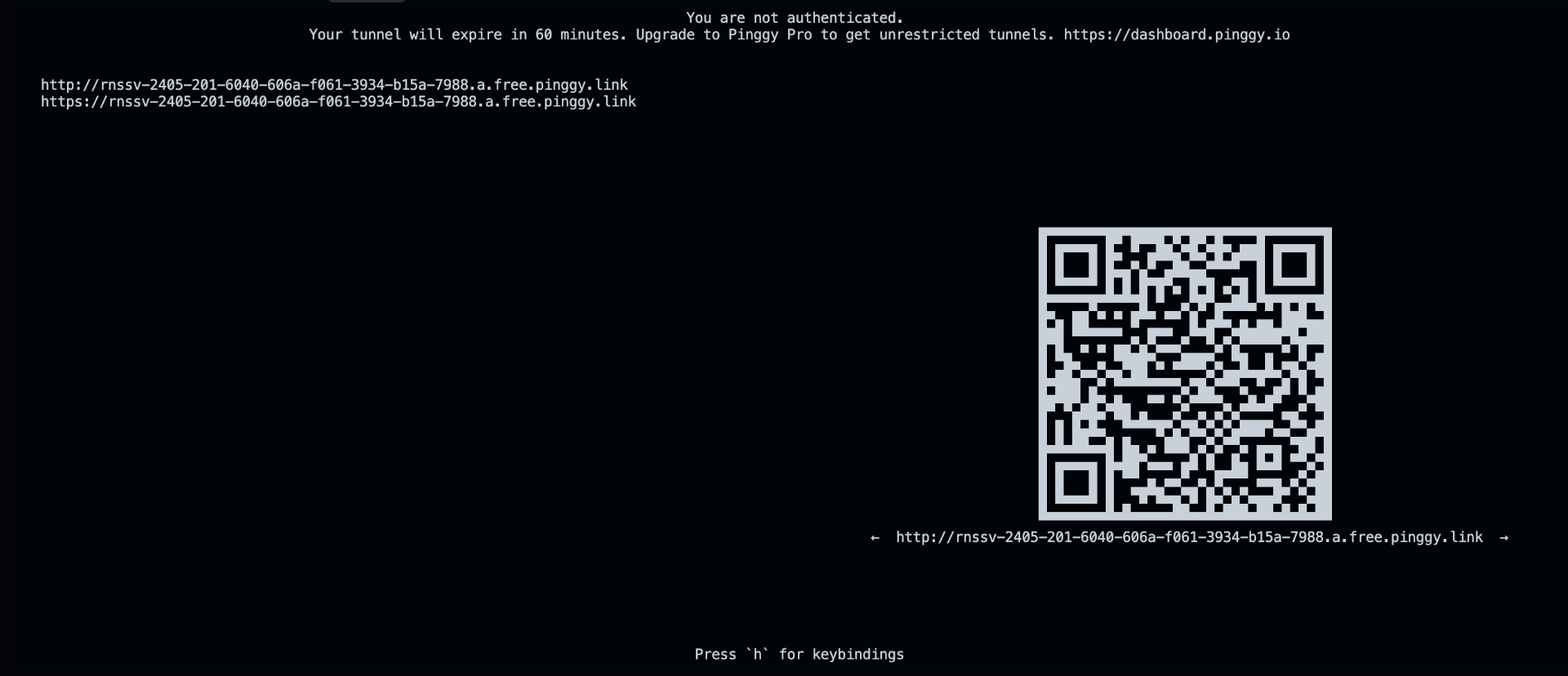Pinggy public URL