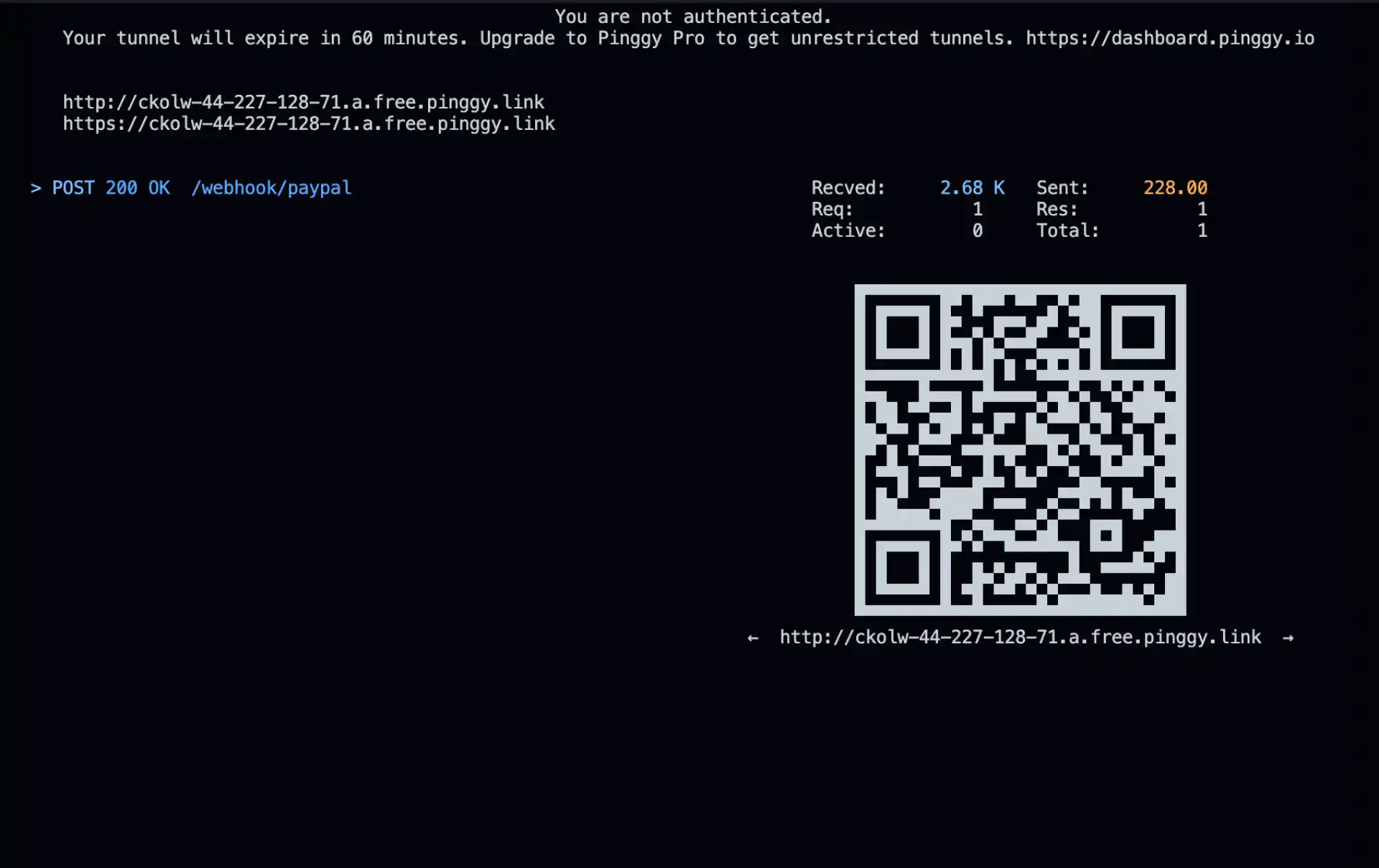 Pinggy Public Url Logs