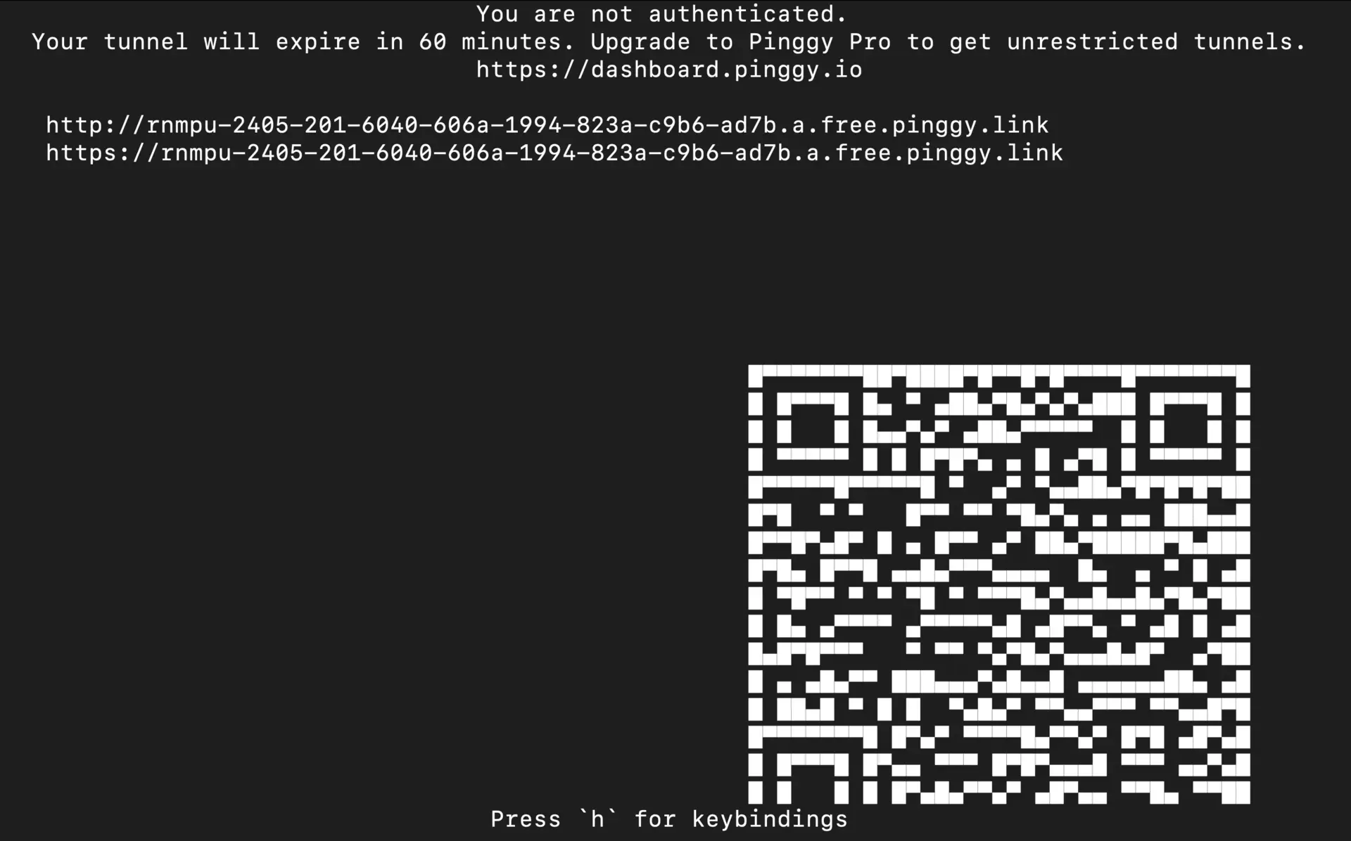 pinggy publiv url