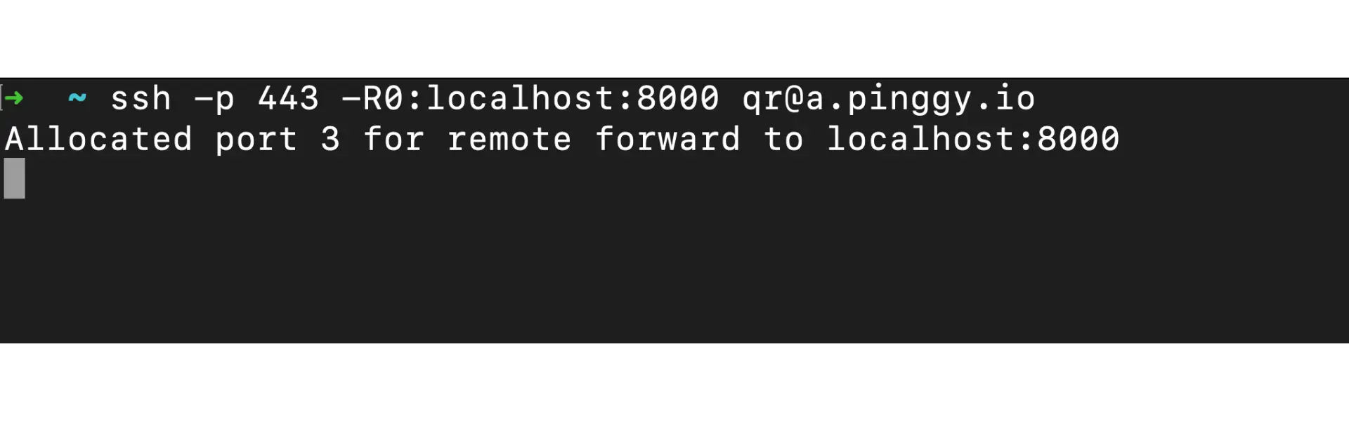 pinggy command