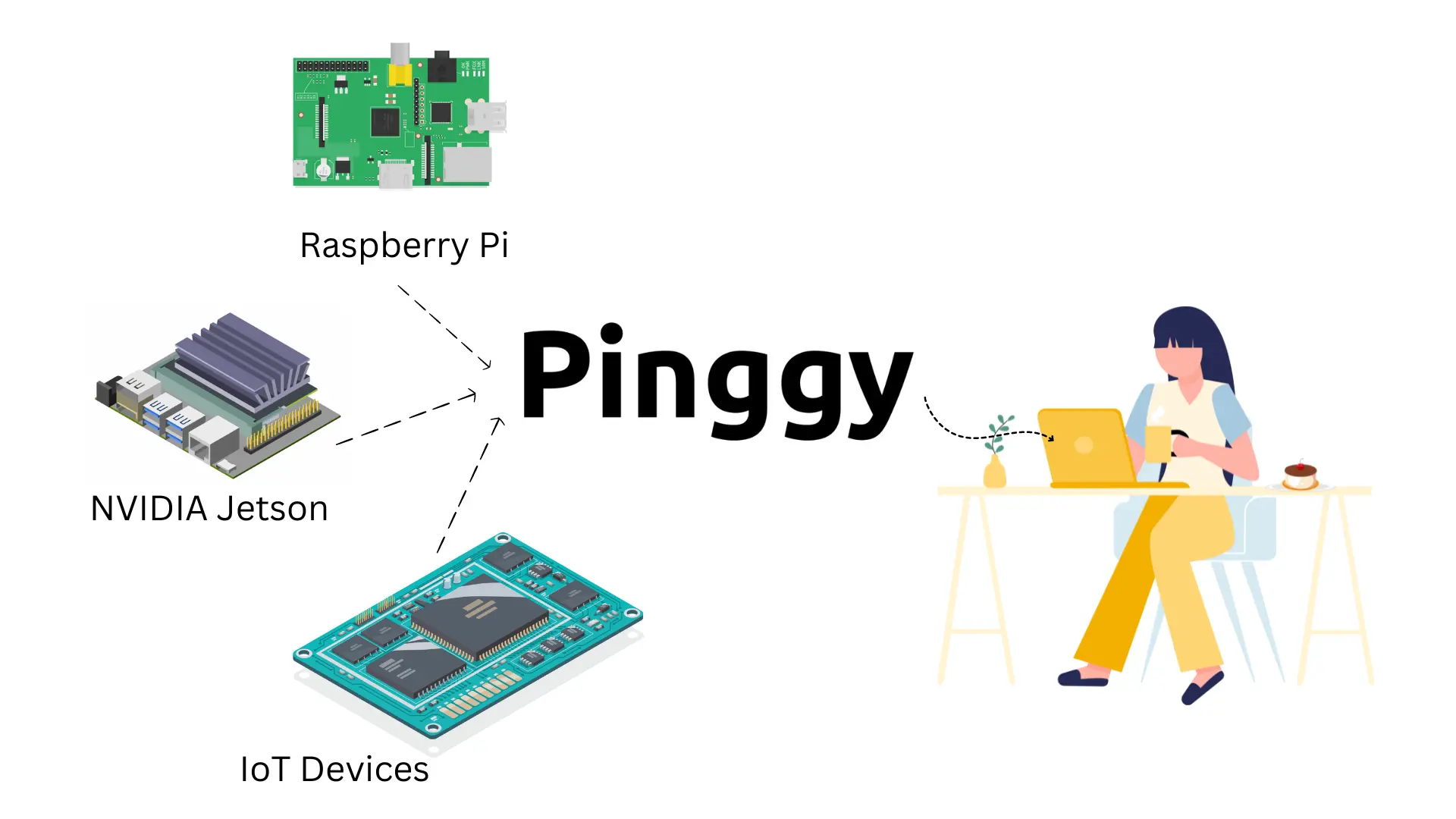 Access IoT Devices from Anywhere Pinggy