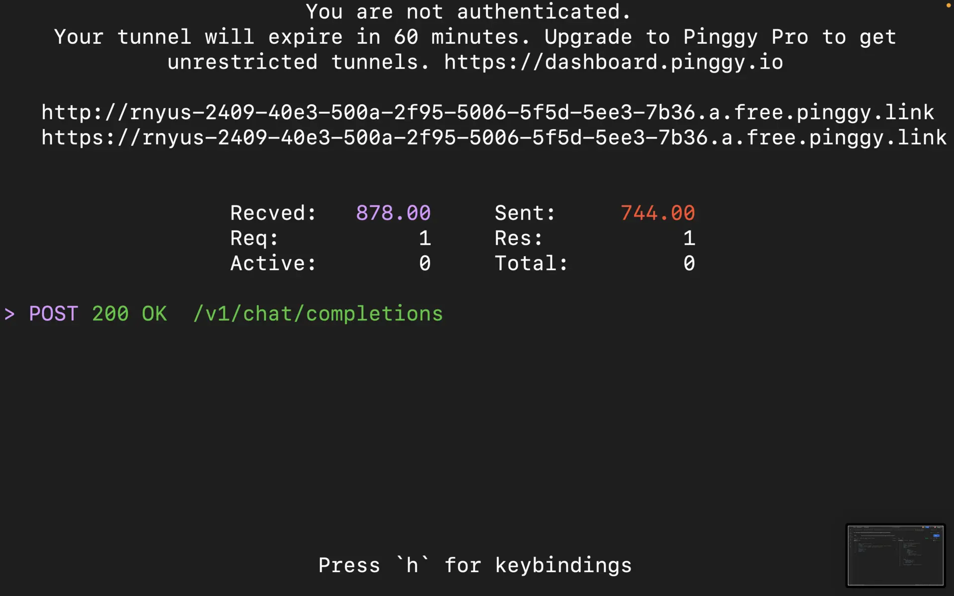 pinggy logs