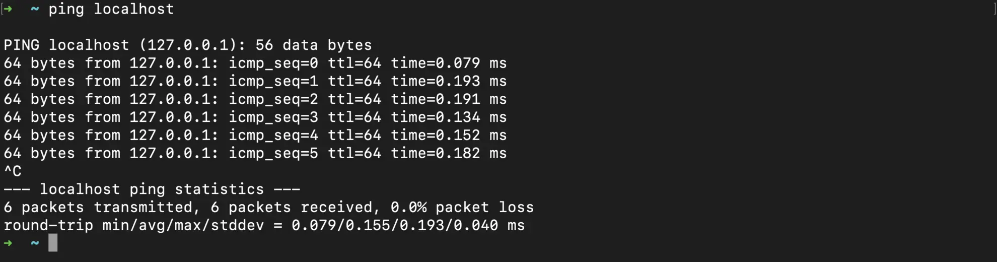 ping localhost example