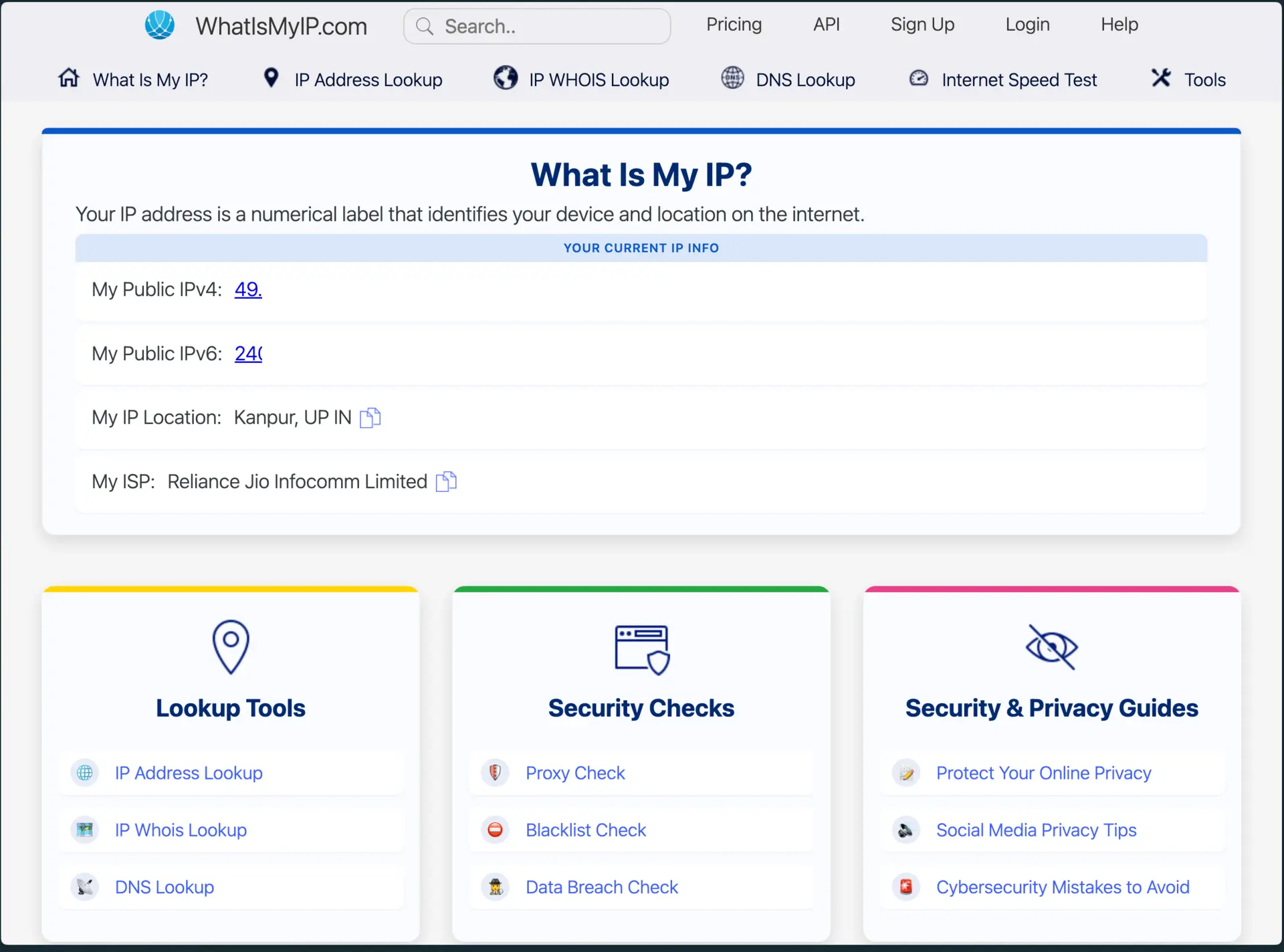 Find Your Public IP Address