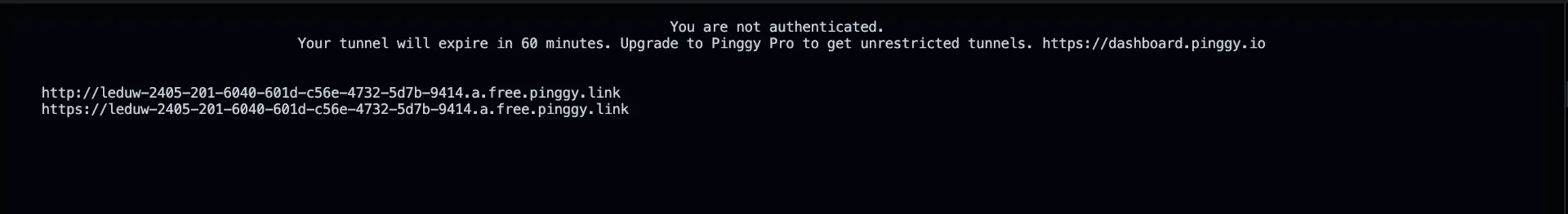 Pinggy public URL for OxiCloud