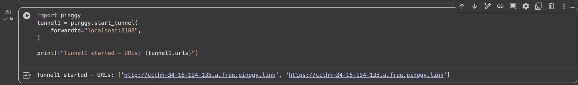 Pinggy Public URL