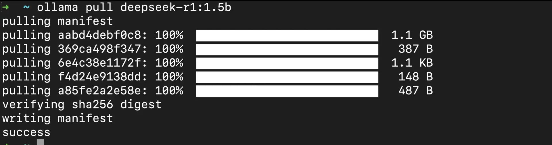 Pulling the smallest DeepSeek-R1 model