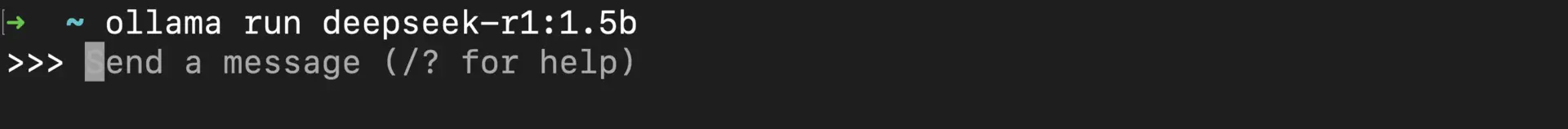 DeepSeek-R1 running in terminal