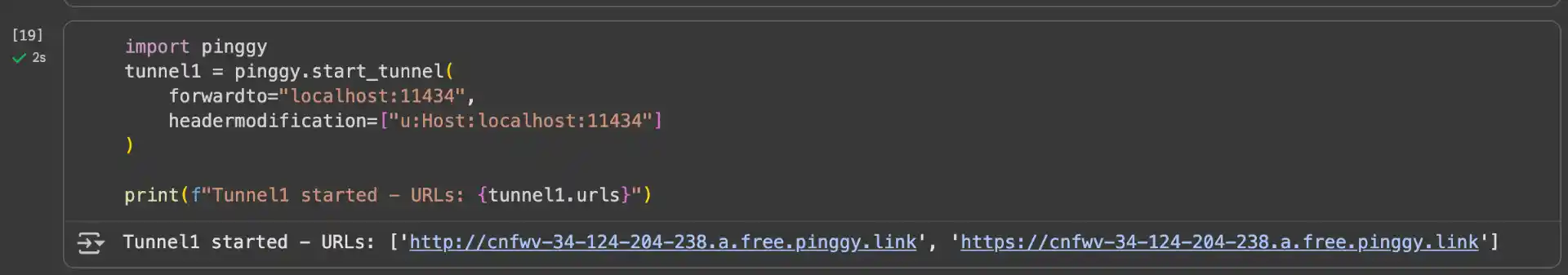 Pinggy Public URL
