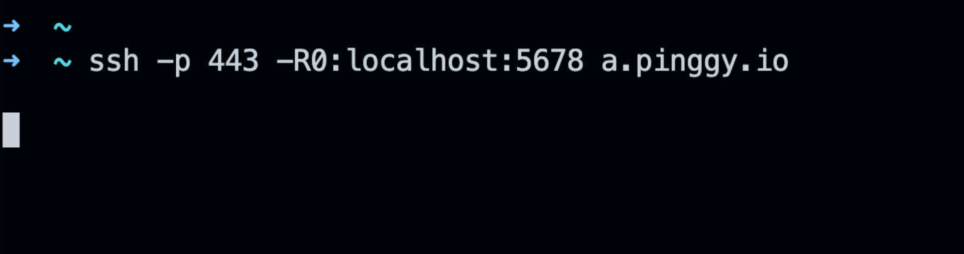 Pinggy Command