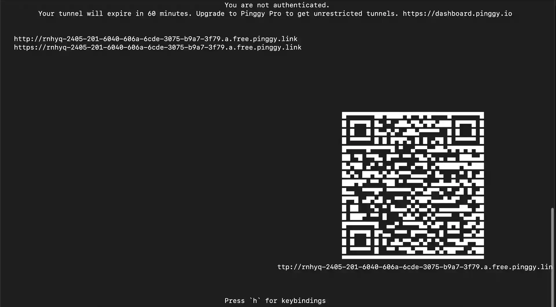 Pinggy public url for Jan