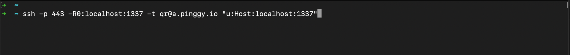 Pinggy tunnel command for Jan