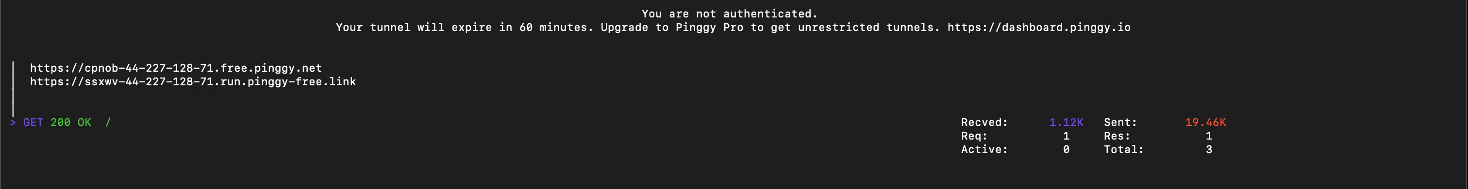Pinggy tunnel log showing a 200 OK request and the 60 minute expiry notice