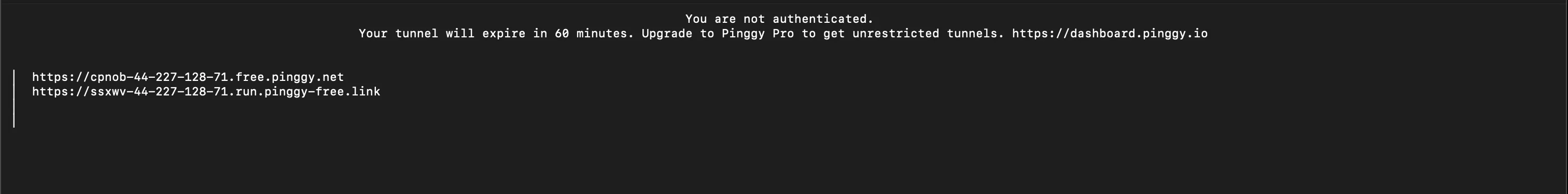 Pinggy printing the public HTTP and HTTPS URLs for the tunnel