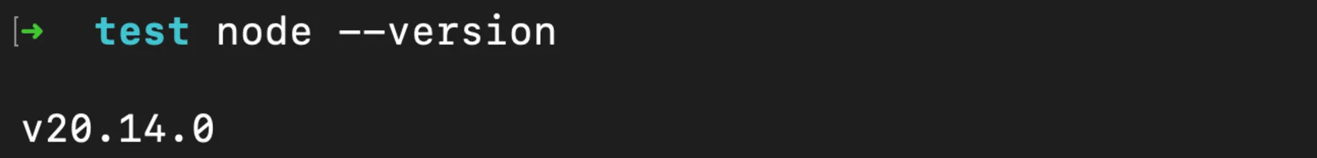 Check Node.js Version