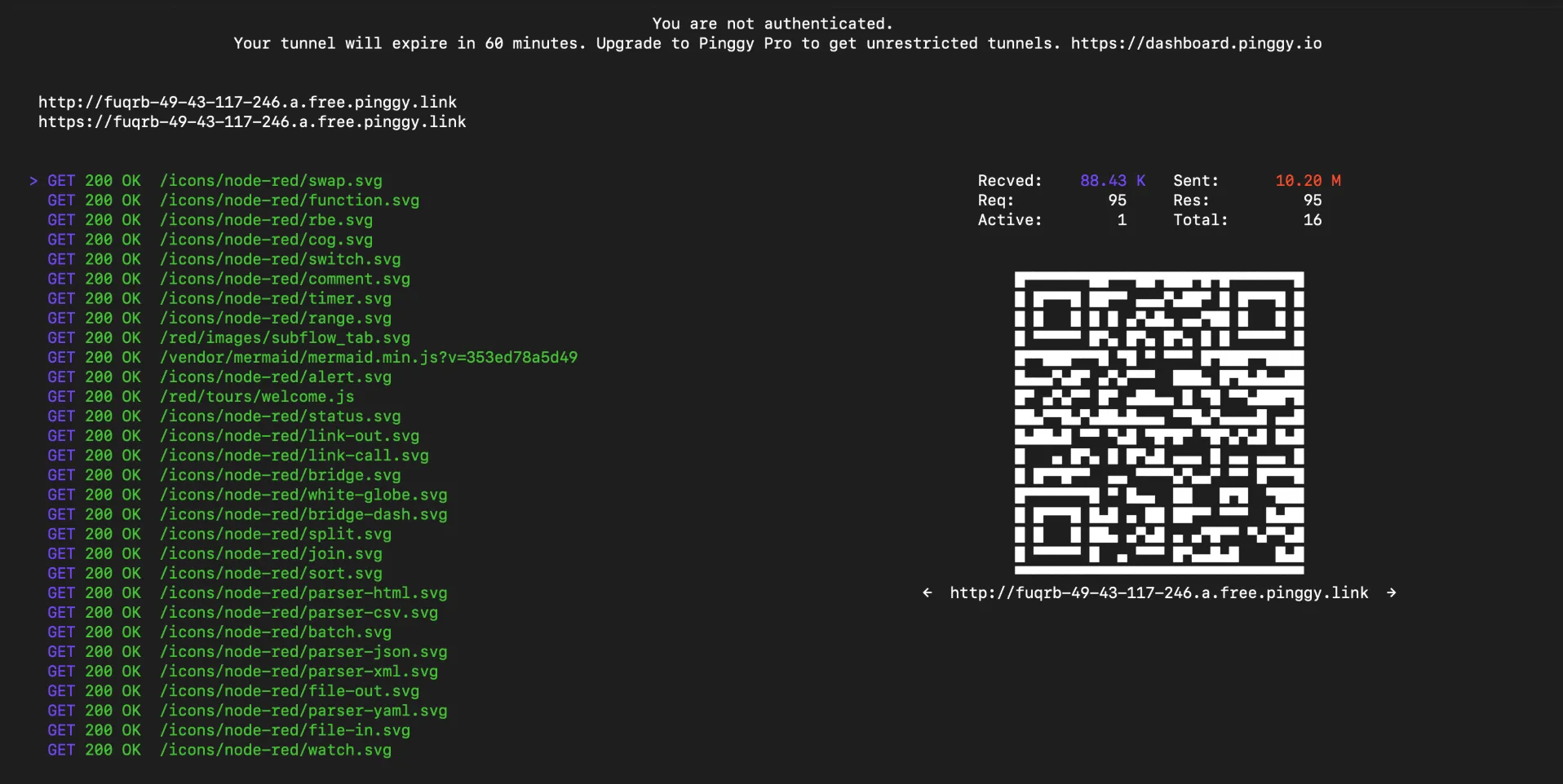 Pinggy Connection Logs