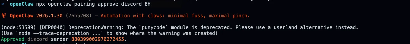 Approve Discord Pairing Code
