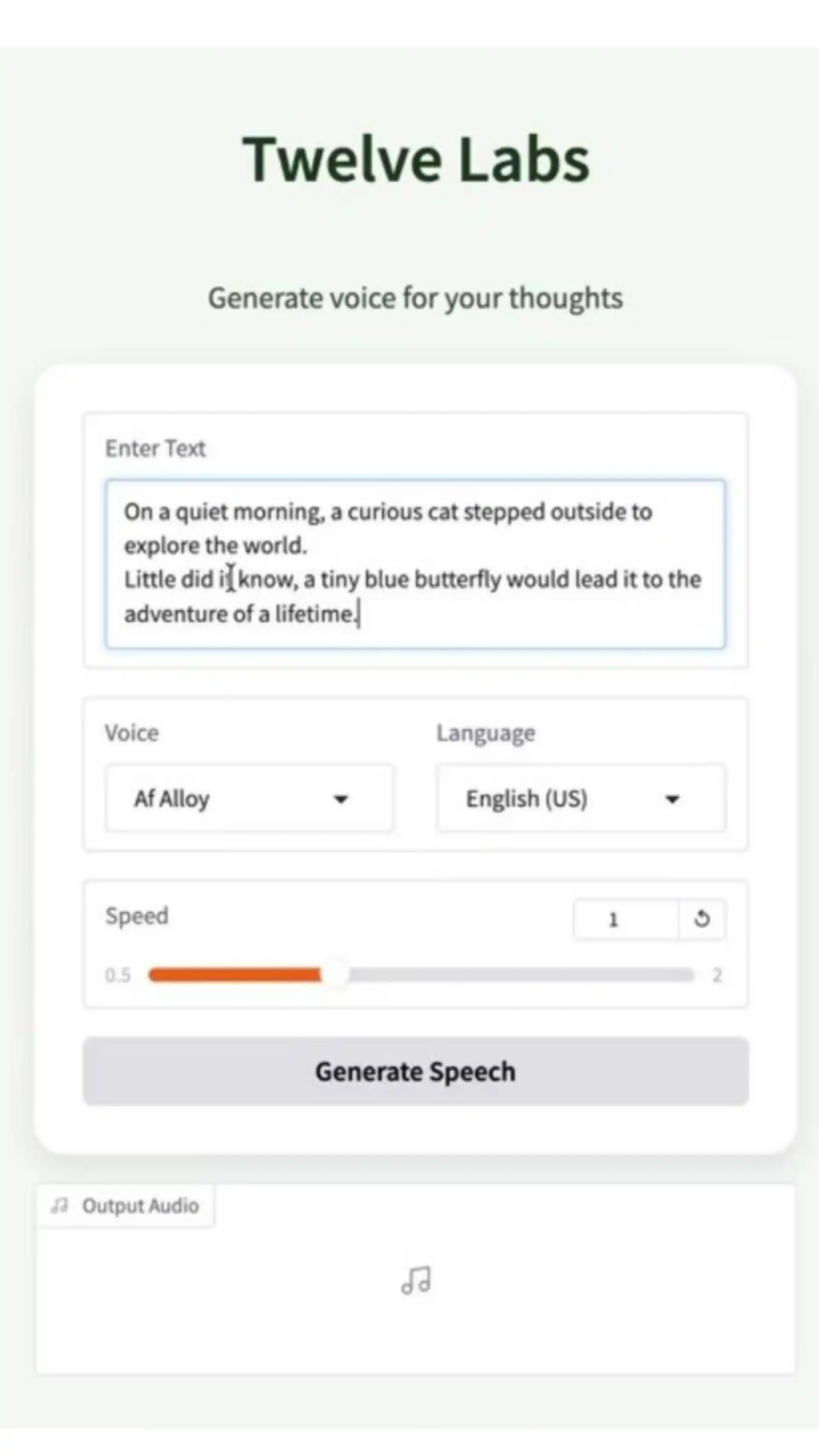 Running Your TTS Application