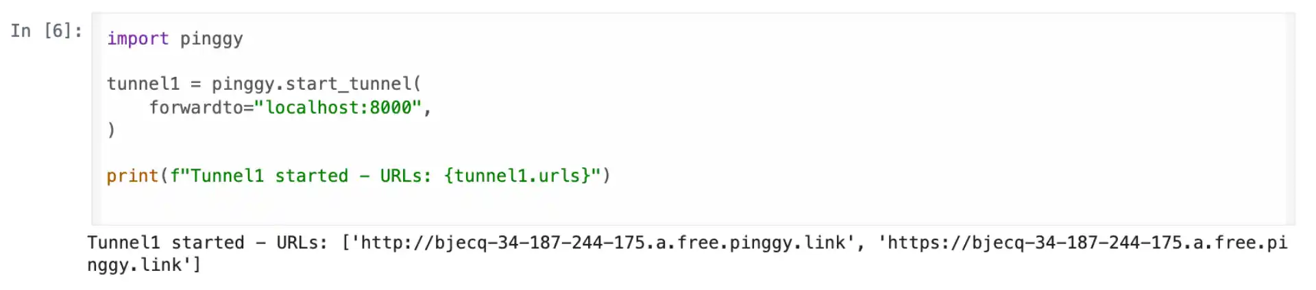Create Pinggy Tunnel