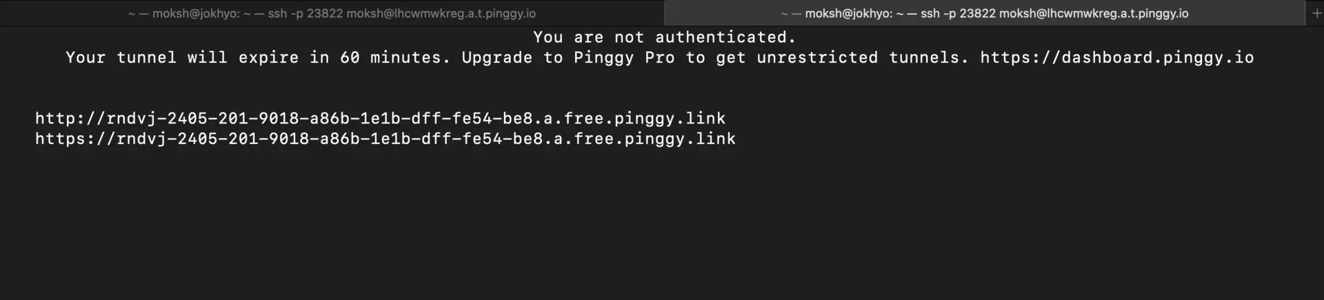 Pinggy Public Url