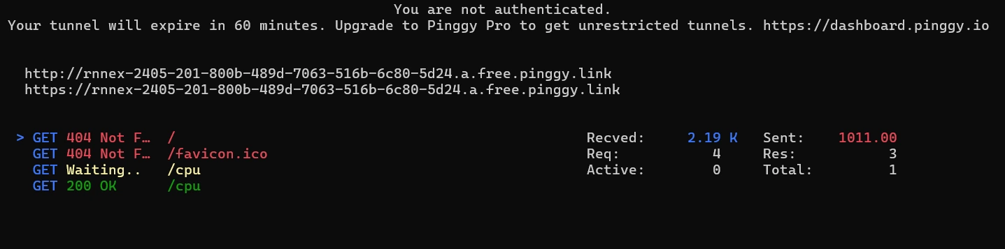 Pinggy command