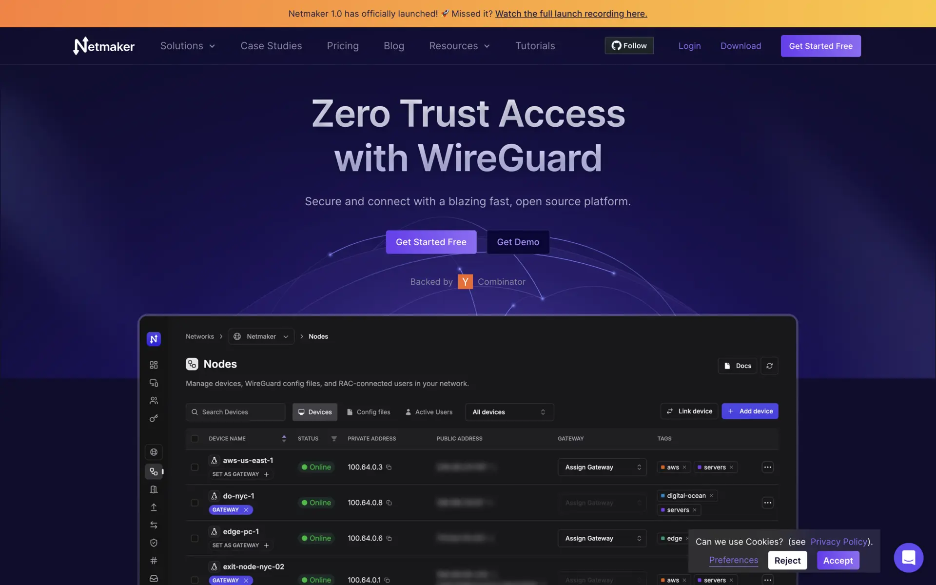 Netmaker - Enterprise mesh networking platform