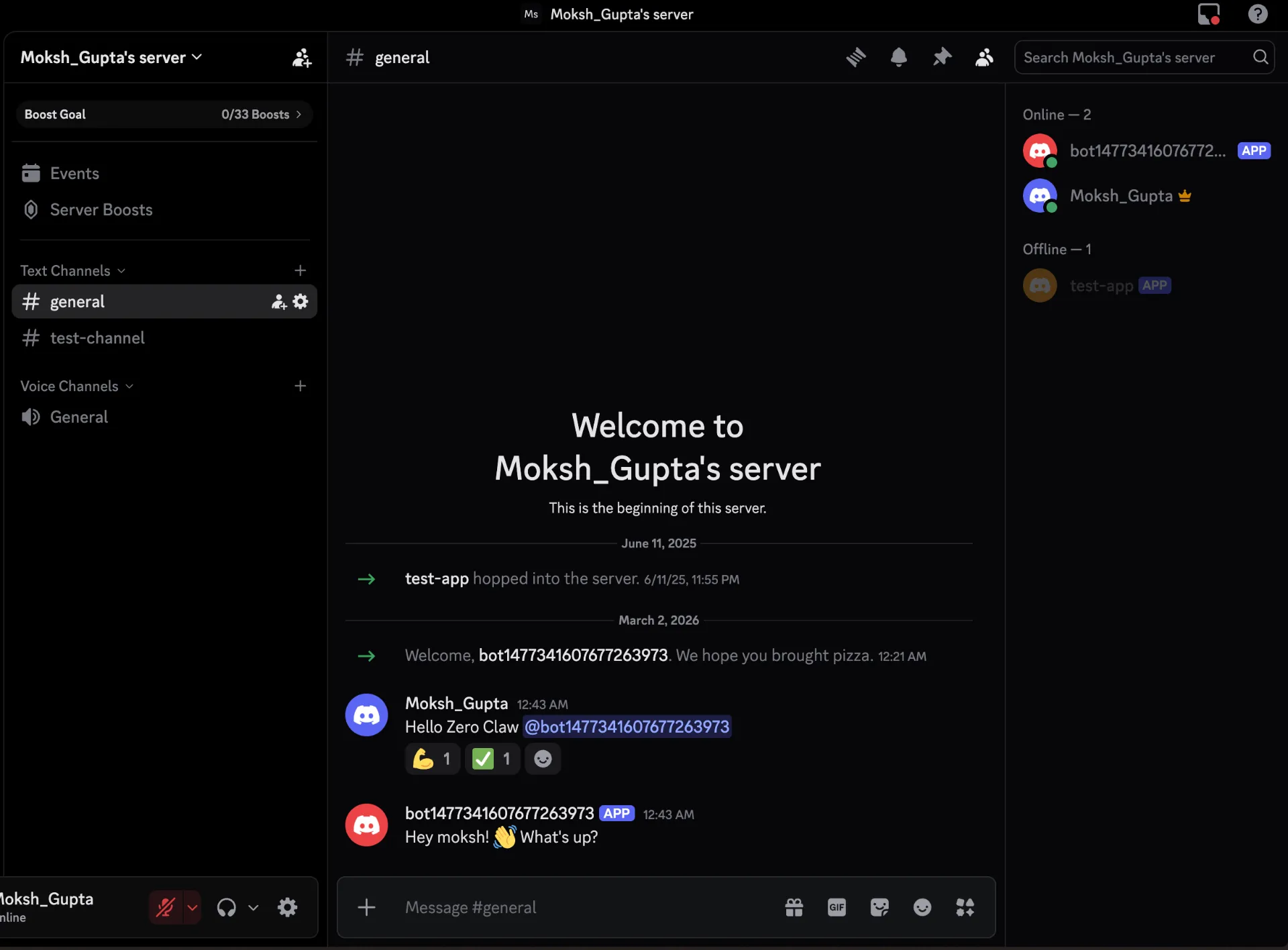 Chat with ZeroClaw bot on Discord